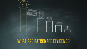 What Are Patronage Dividends