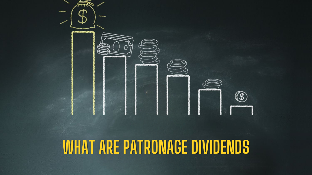 What Are Patronage Dividends