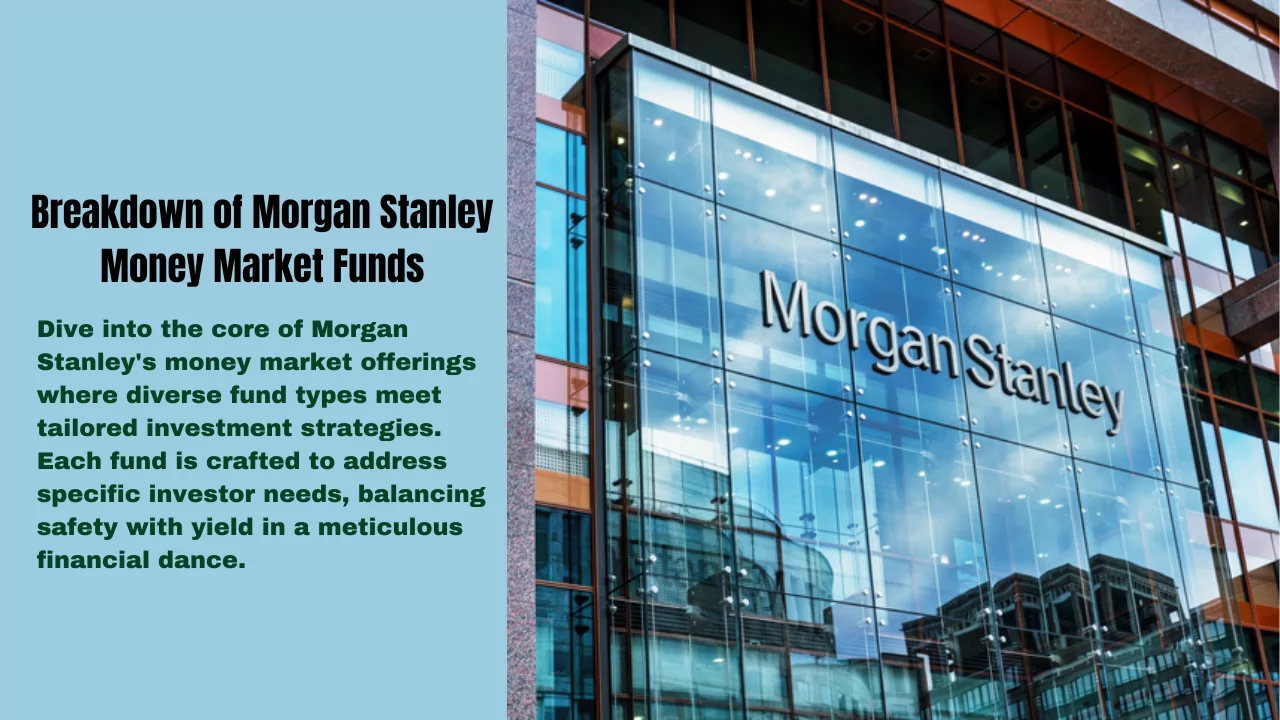 Breakdown of Morgan Stanley Money Market Funds