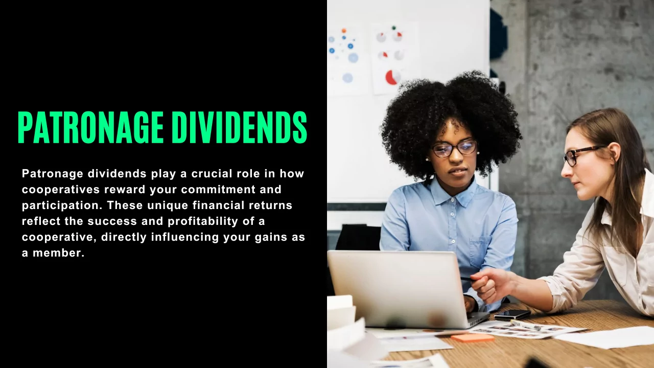 Patronage Dividends