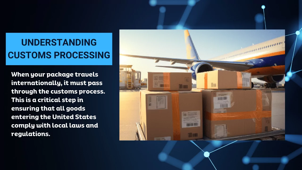 Understanding Customs Processing